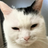 TallyDuhWorst's avatar