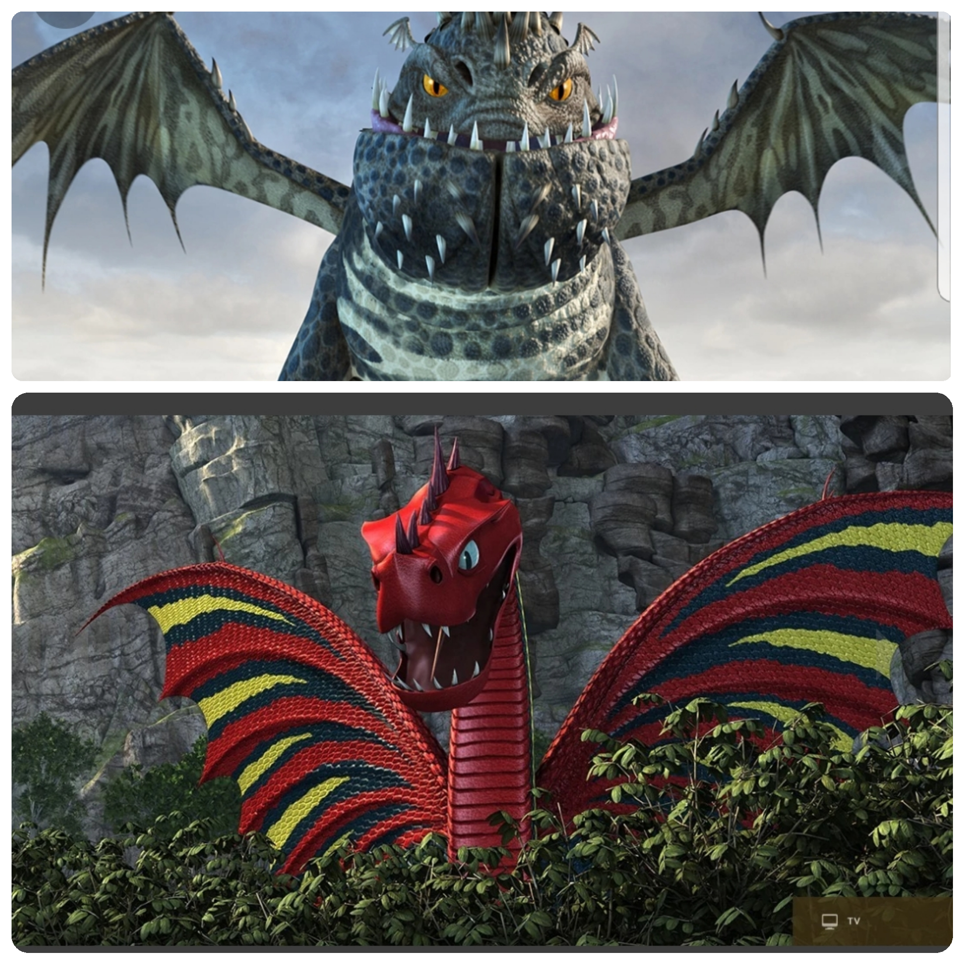 фотографии драконов из тик тока