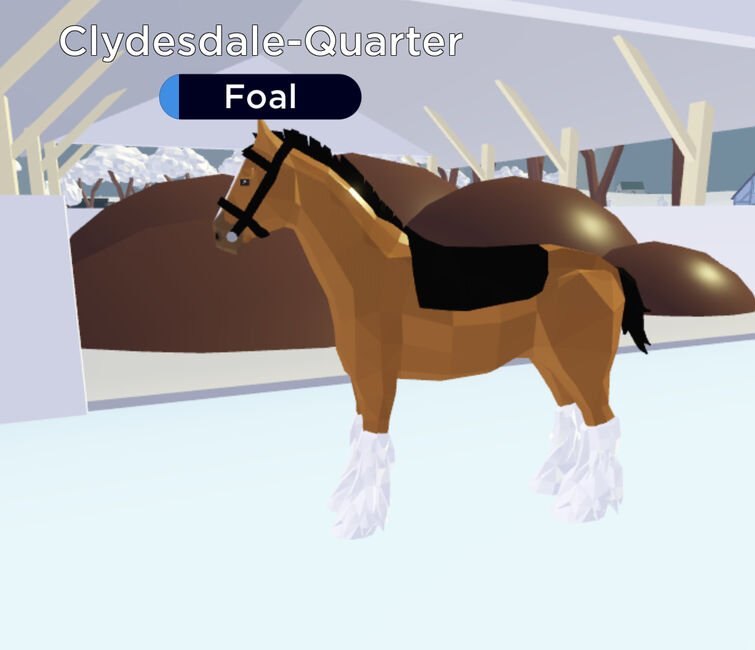 Quarter Horse, Horse Valley 2 ROBLOX Wiki