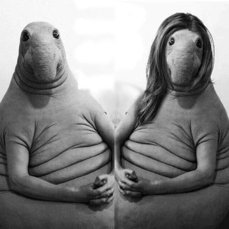 смешно ждет