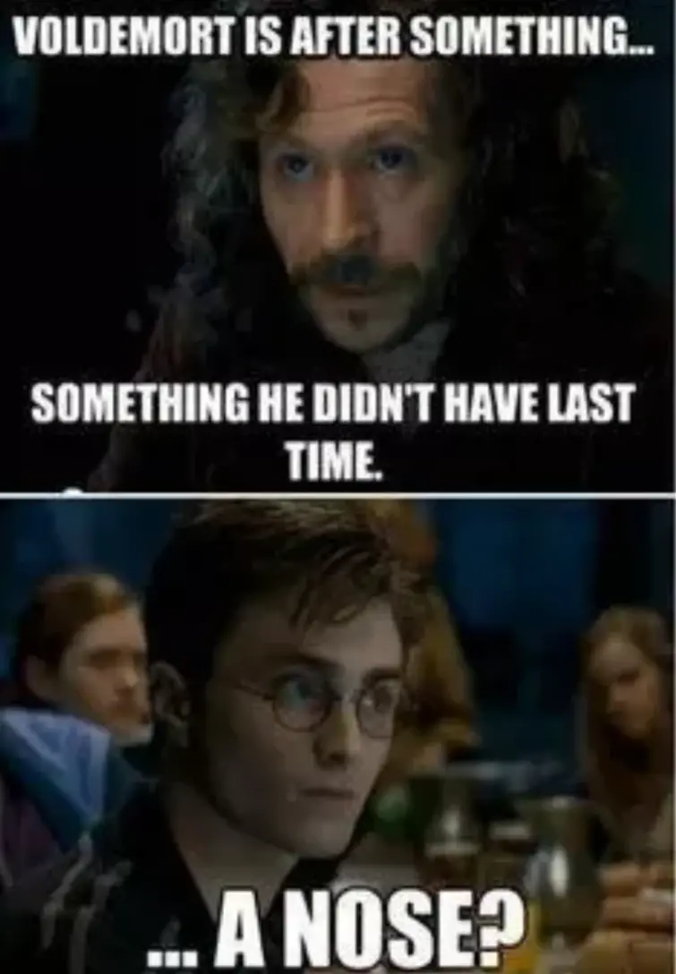 Harry Potter and the Nose of Voldemort - 9GAG