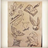 Zozap657s Profilbild