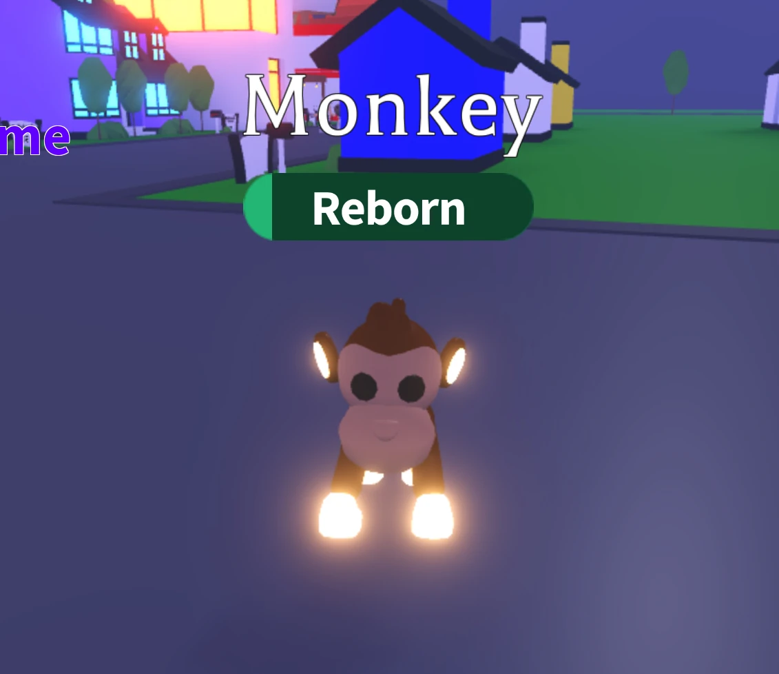 Trading Neon Monkey Fandom