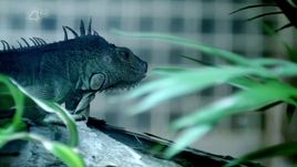 Vlcsnap-2011-12-21-13h32m12s52