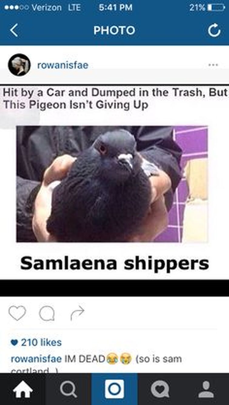 Fandom Image