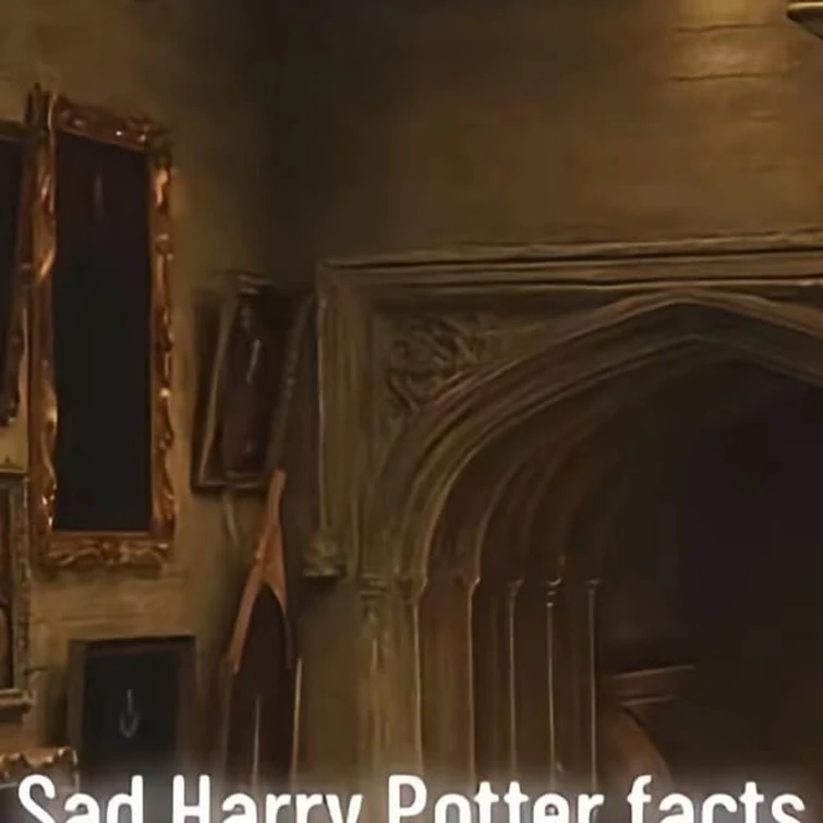 Magic Potter Place on Instagram: "Sad Harry Potter Facts 🪄😔 TT: bjornwiek  #harrypotter #harrypotterfacts #wizardingworld #wizard"