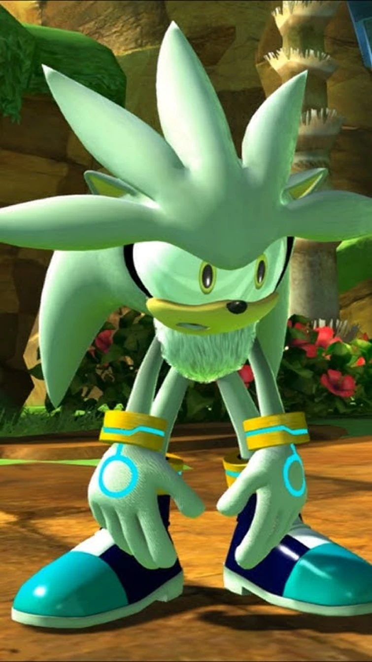 What Was Silver Doing In Sonic X Shadow Generations?