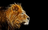 StormCloudKitty's avatar