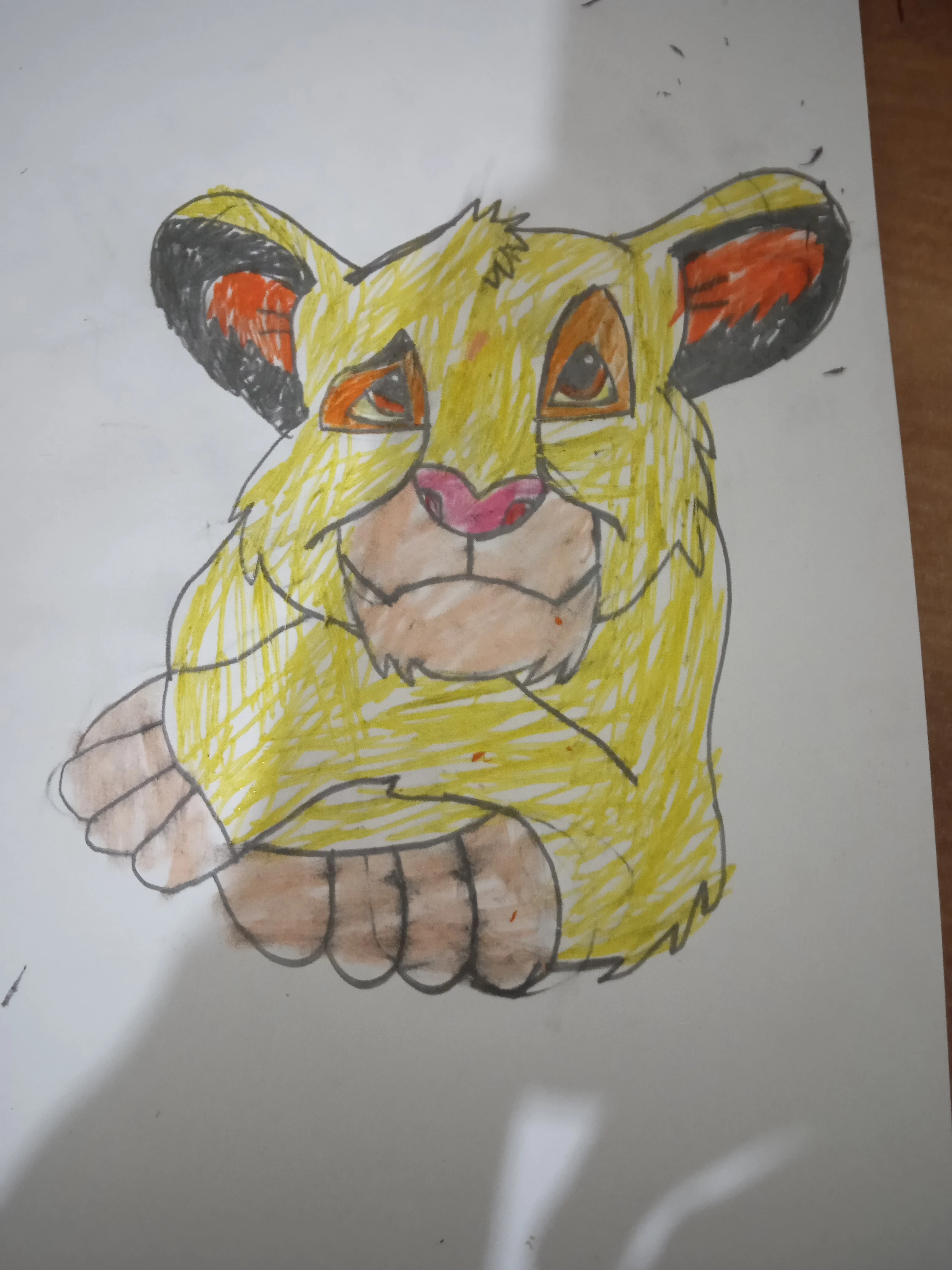 My drawing of Simba | Fandom