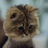 Bookish7312's avatar