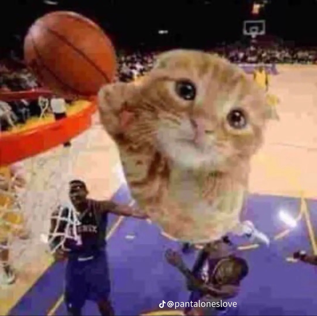 i-love-ballincat43-fandom