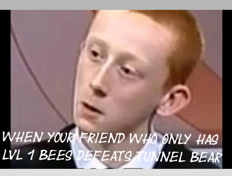 bee swarm memes 2 (rate my meme ?/10 )