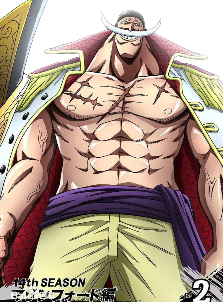 Who’s the best opponent for Whitebeard (One Piece)? Fandom