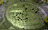 Randomdude8901's avatar