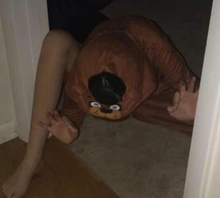 Fandom Image