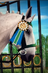 .-=SavvyMistyQueens=-.'s avatar
