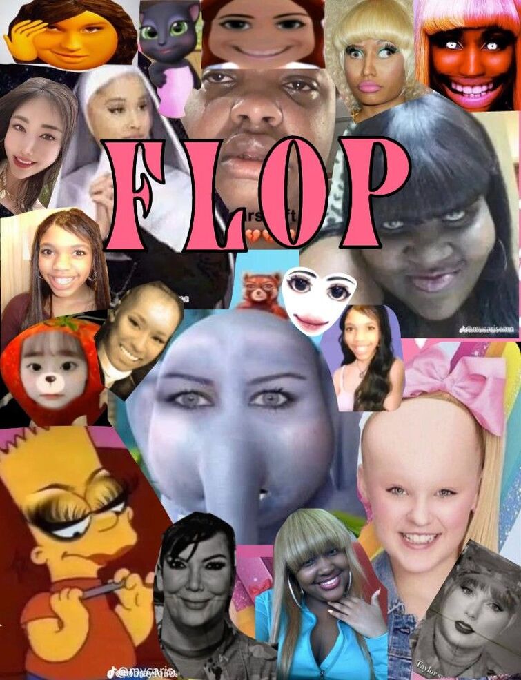 made a floptok wiki btw😍 : r/floptok