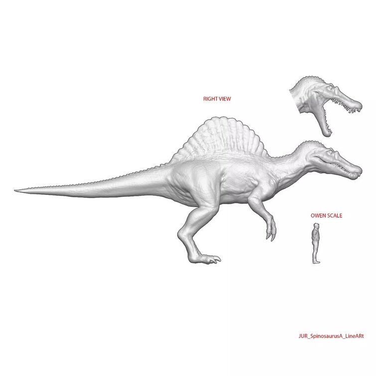 spinosaurus size length? | Fandom