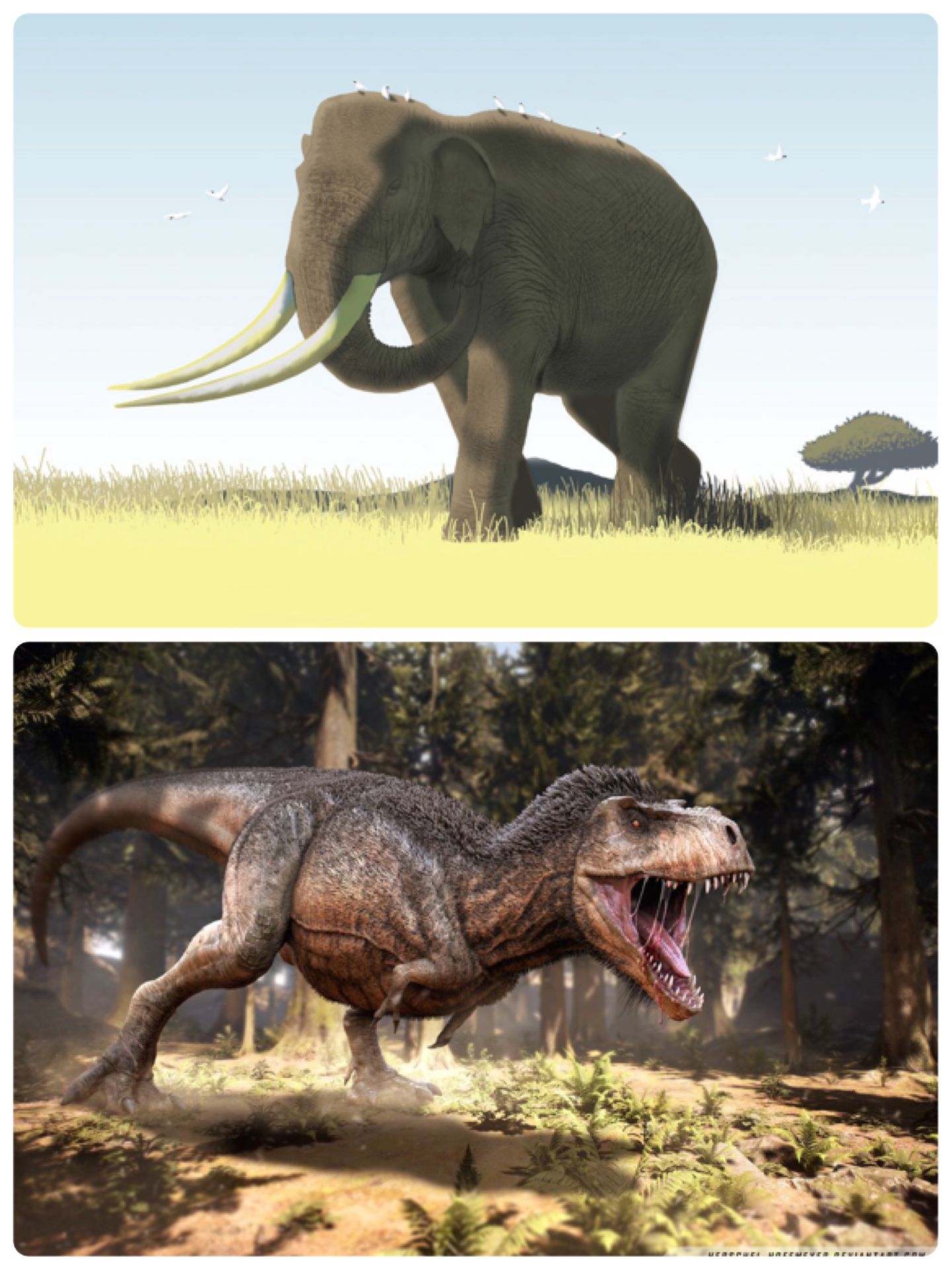 dinosaur size comparison elephant