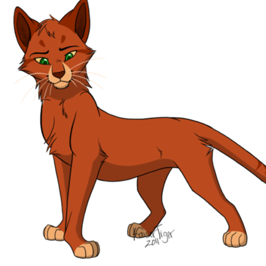 Рисунки коты воители огнезвезд