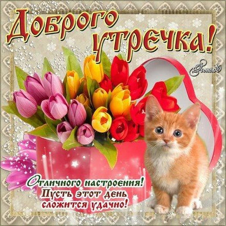 Открытки отличного настроения. Добрый день картинки пожелания для ватсап. Добрый день картинки пожелания для ватсап. Открытка с добрым утром удачного дня. Добрый день картинки.