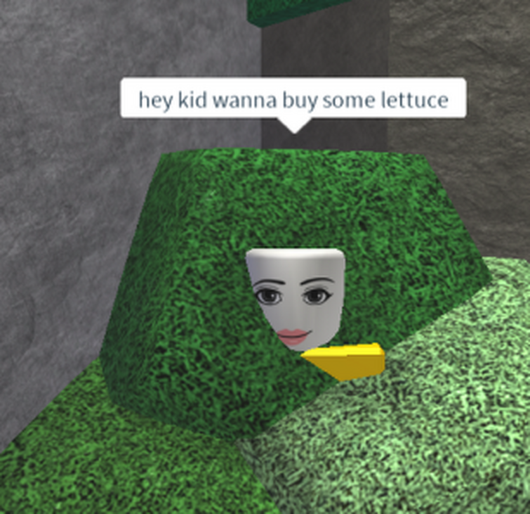 Hey Kid Wanna Buy Some Lettuce Fandom - roblox hey kid want some lettuce