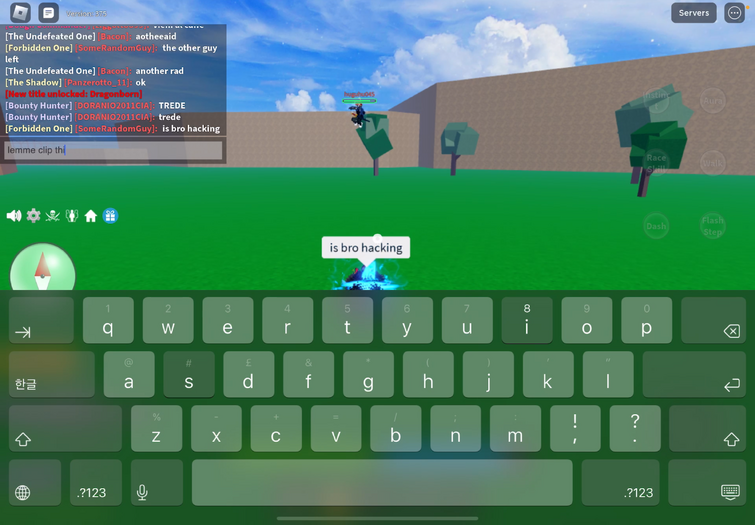Found someone using fly hack : r/bloxfruits