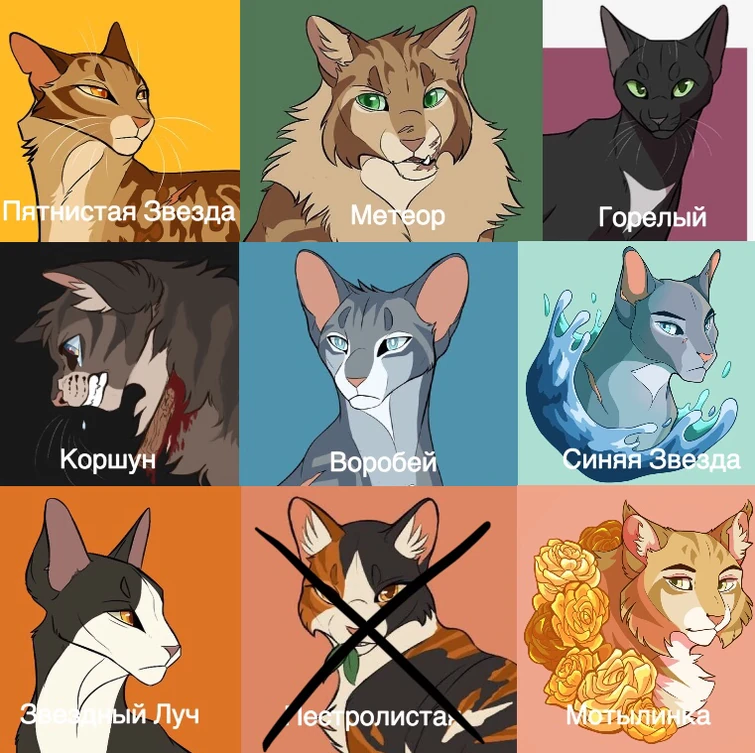 Тест кто ты из котов воителей для девочек с картинками тест