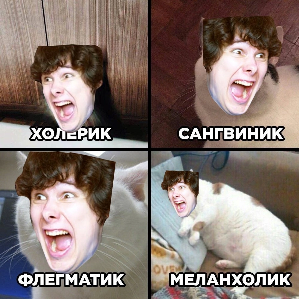 ладно | Fandom
