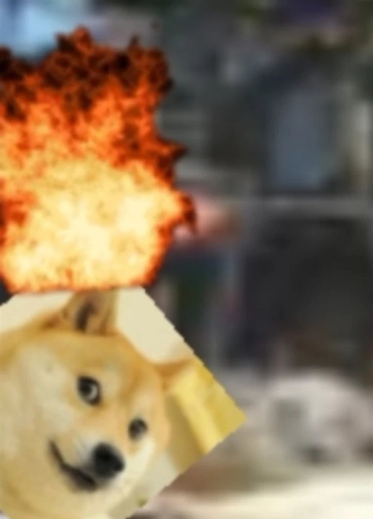 BOPPITY CAT 32 TEASERS | Fandom