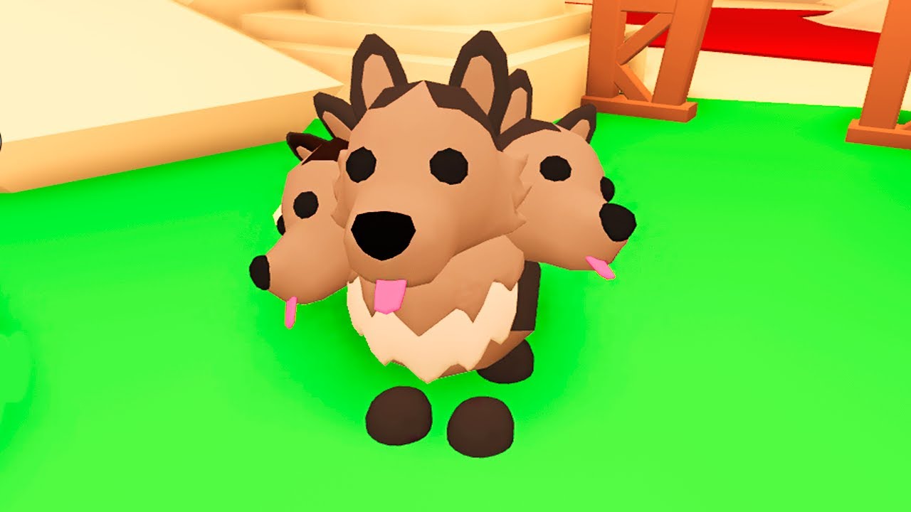 Why Its This Cerberus Brown And Not Black Fandom - cerberus login roblox