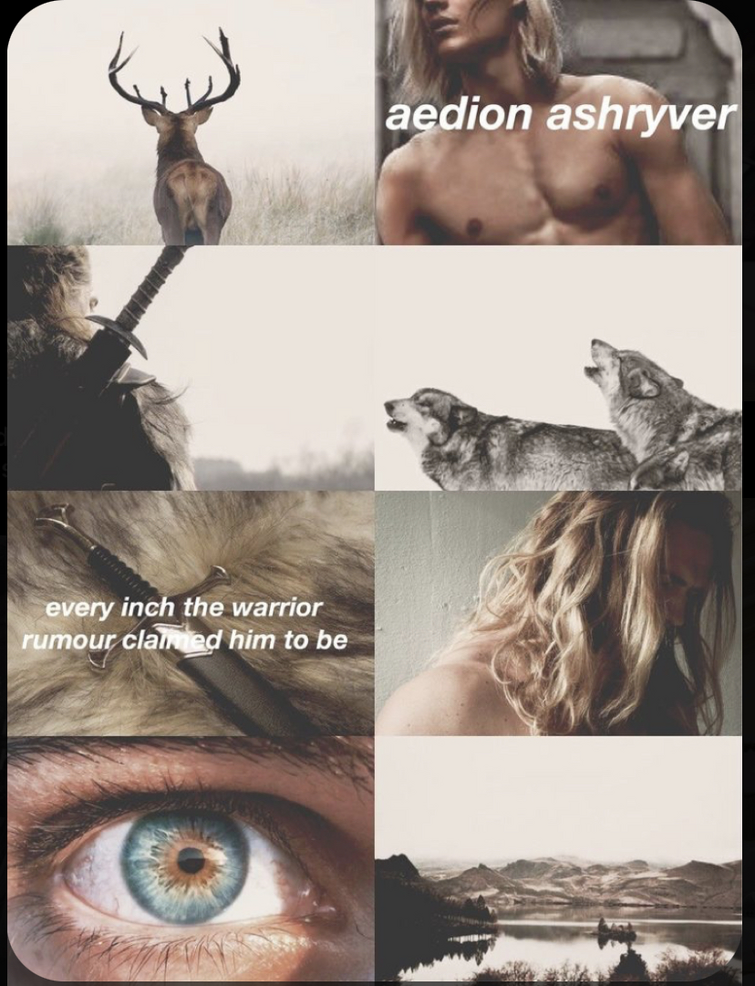 Fandom Image