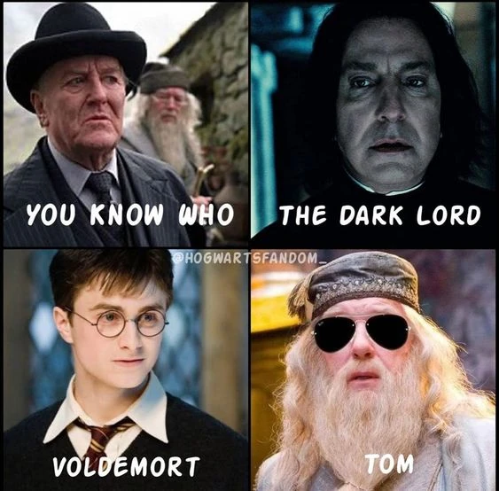 Harry Potter Memes Fandom
