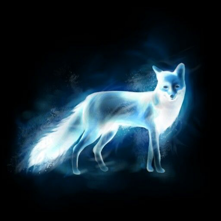 Fandom Image