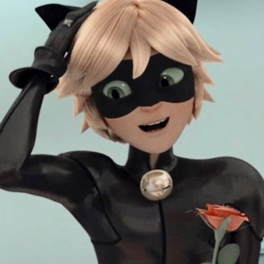 Featured image of post Ladybug And Cat Noir Aesthetic Pictures