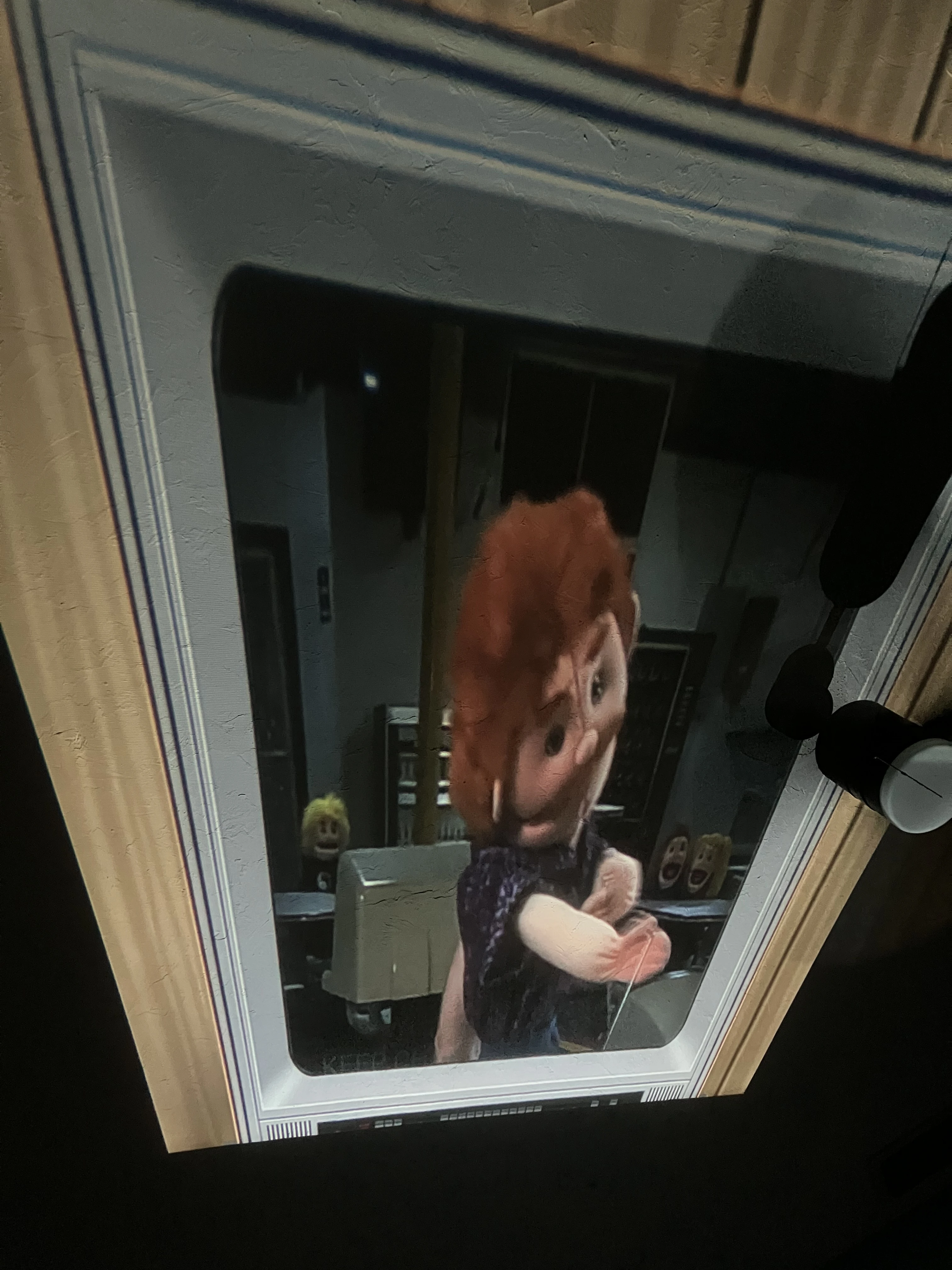 I was watching aqua teen hunger force on my projector and saw Mr ...