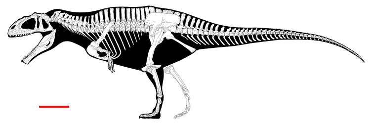 Meraxes Gigas: All You Need To Know About Huge Dinosaur, 46% OFF