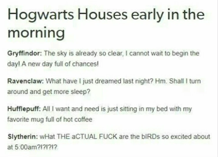 I found this on Pinterest and literally can't stop laughing for the slytherin one 😂😂😂