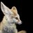 DeeFoxy's avatar