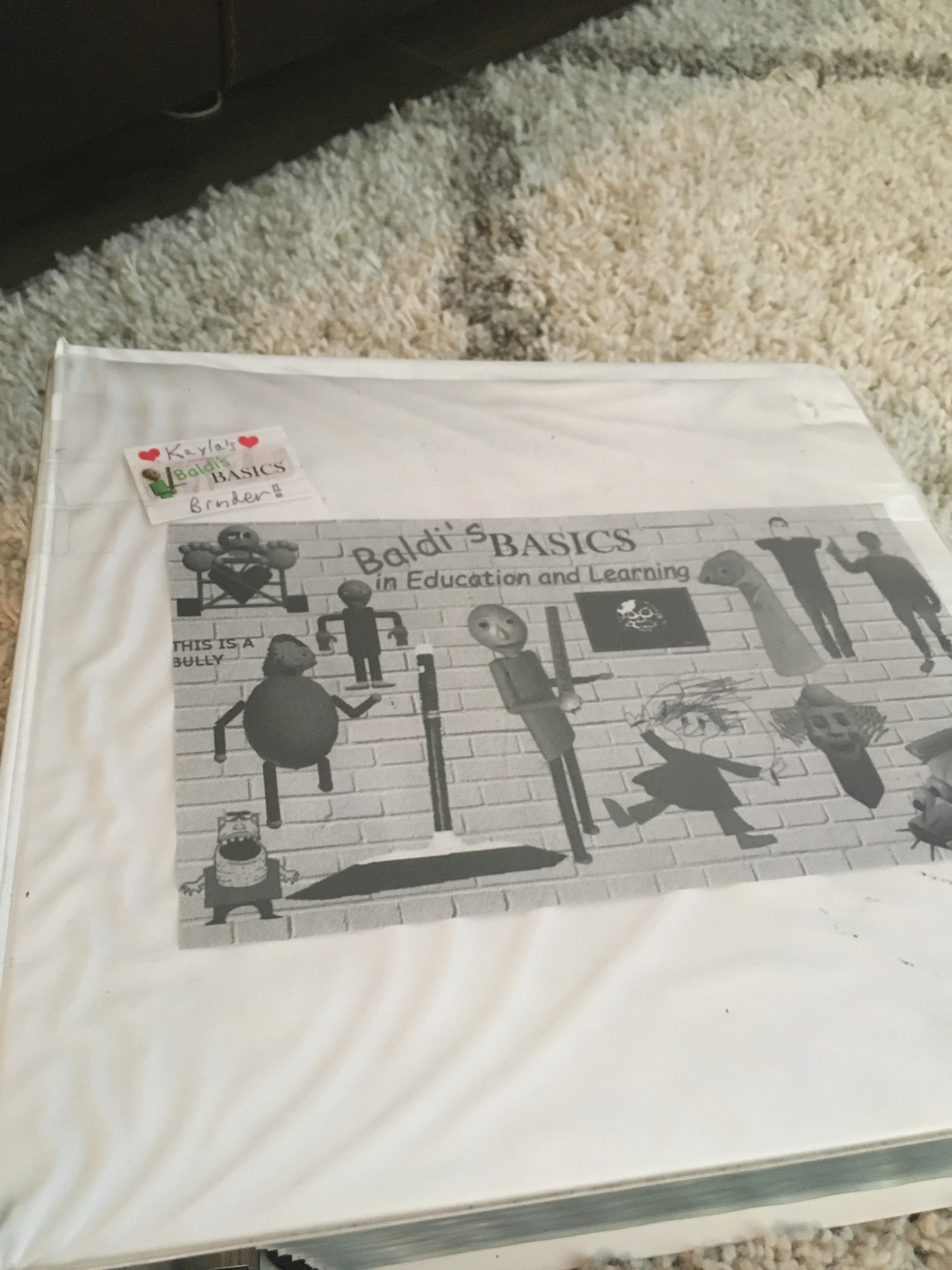 My Baldi's Basics Binder | Fandom