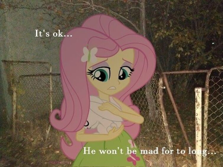 Fandom Image
