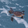 11TinyTurtles