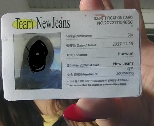 Newjeans Id Card Template