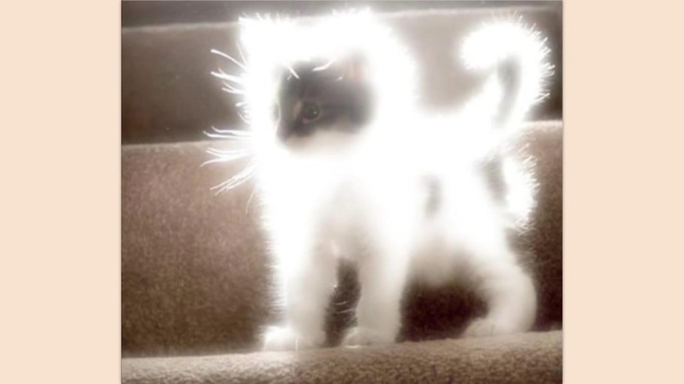 BEHOLD, THE CAT GOD THAT GLARES JUDGMENTALLY AT YOU!! Fandom