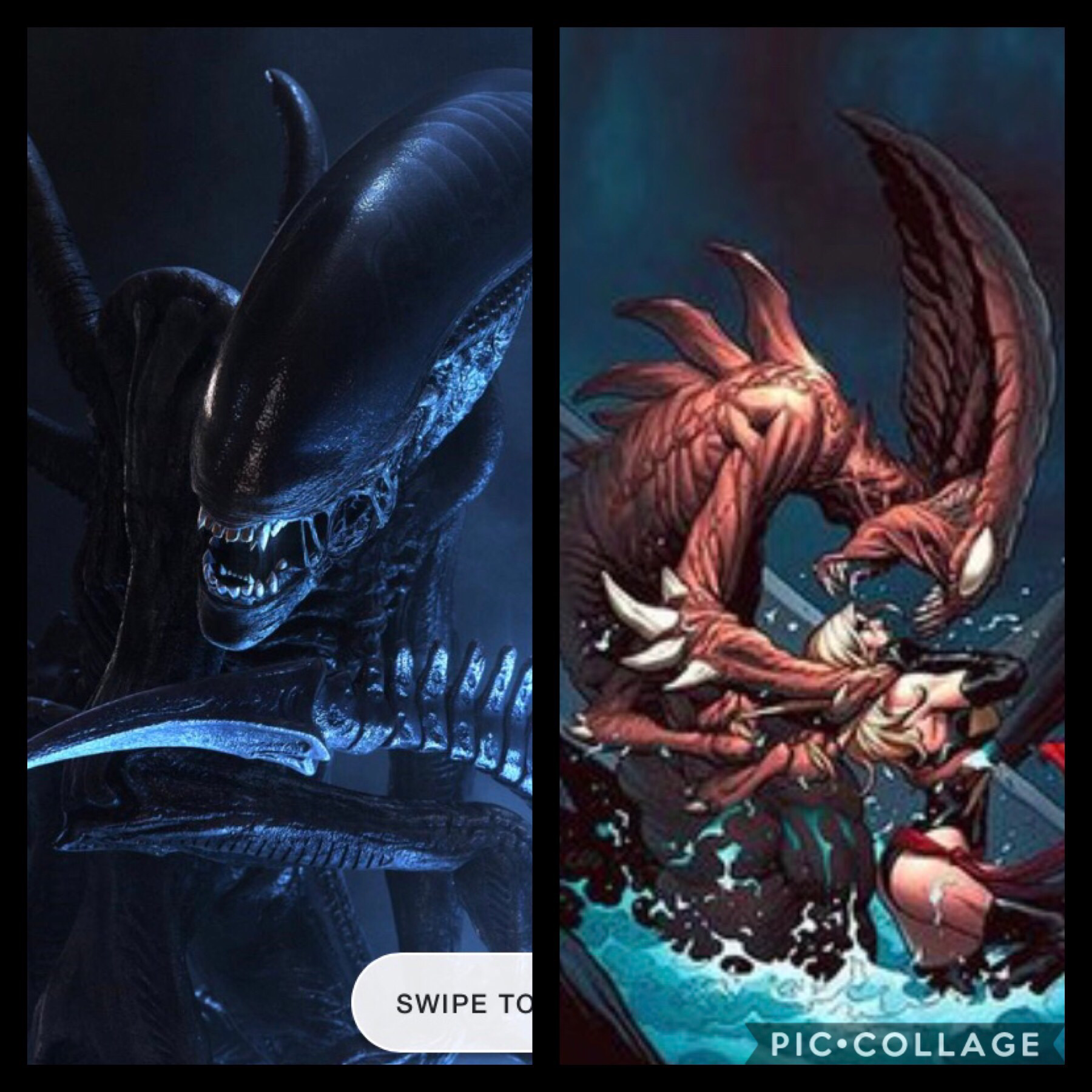 BROOD VS XENOMORPH | Fandom