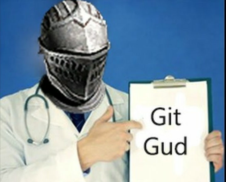 Can someone give that git gud picture?