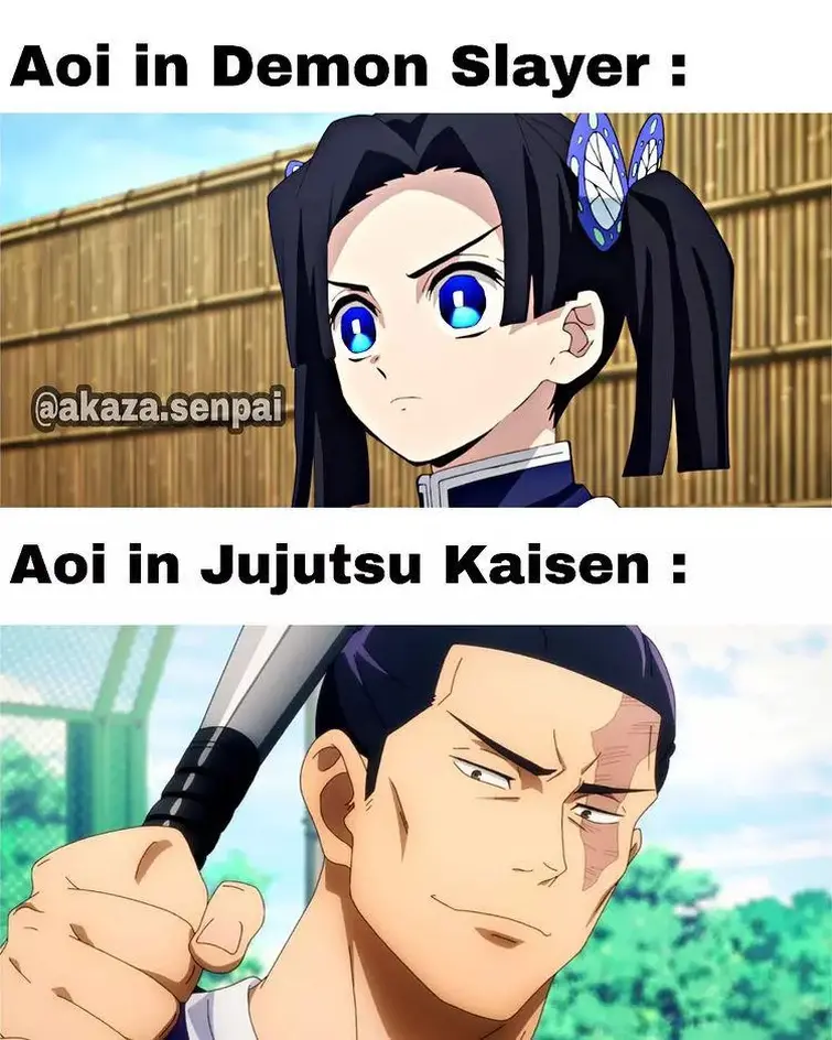 Demon Slayer memes! Fandom