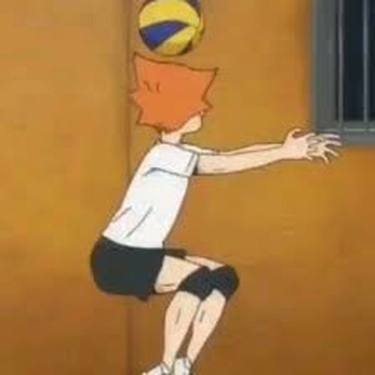 Fandom Image