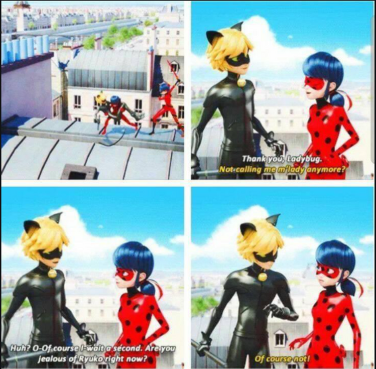 Reasons For Ladybug S Maybe Crush Of Chat Noir Fandom