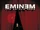 The Eminem Show